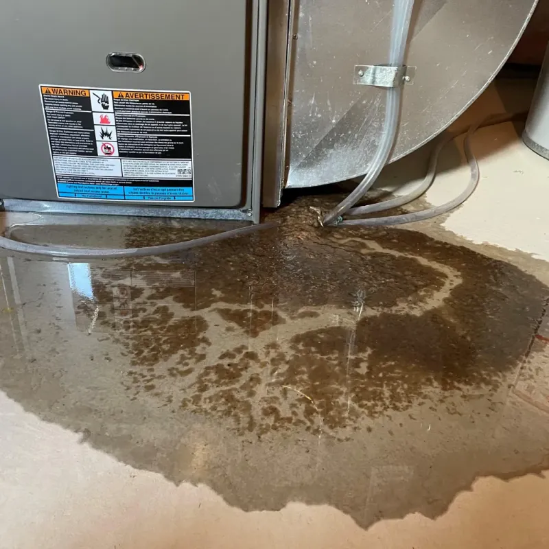 Appliance Leak Cleanup in Drumright, OK